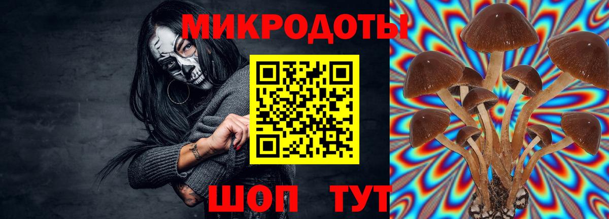 Усть-Джегута  Псилоцибиновые грибы ЛСД  купить  цена  Вход с VPN 